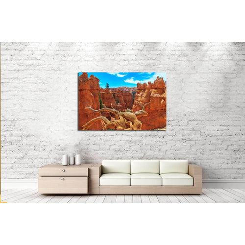Bryce Canyon National Park №3192 Ready to Hang Canvas Print