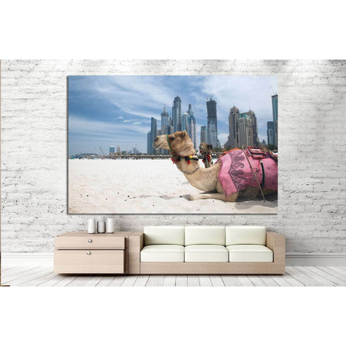 Camel at the urban background of Dubai №1135 Ready to Hang Canvas Print