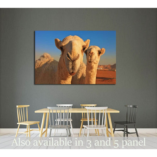 camel №2343 Ready to Hang Canvas Print