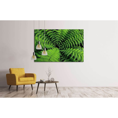 Center of fern tree in native bush, New Zealand №2507 Ready to Hang Canvas Print