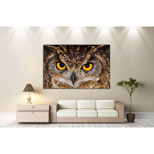 Close-up of a Cape Eagle Owl with large piercing yellow eyes №2333 Ready to Hang Canvas Print