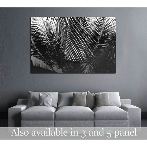 Coconut leaves abstract reflection,black and white №2831 Ready to Hang Canvas Print