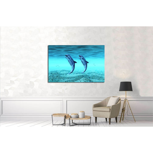 dancing dolphins №2335 Ready to Hang Canvas Print