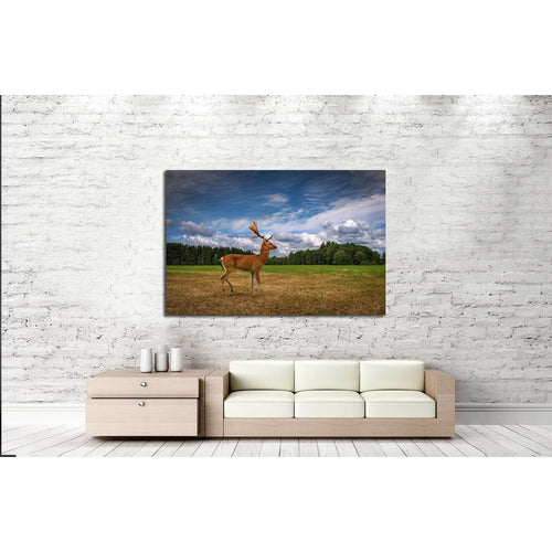 Deer in a Field №2361 Ready to Hang Canvas Print