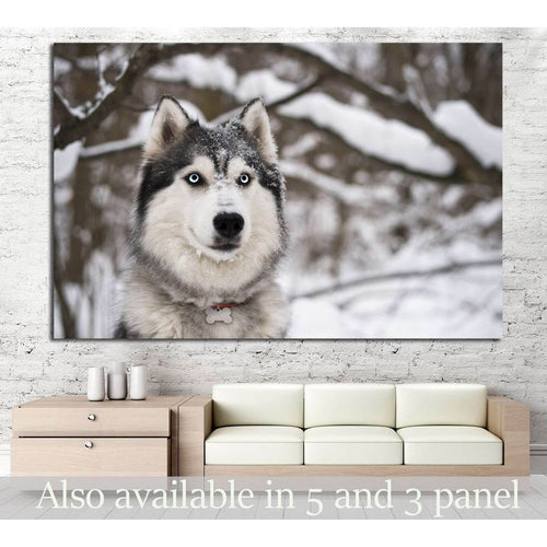 Dog and Snow №1 Ready to Hang Canvas Print