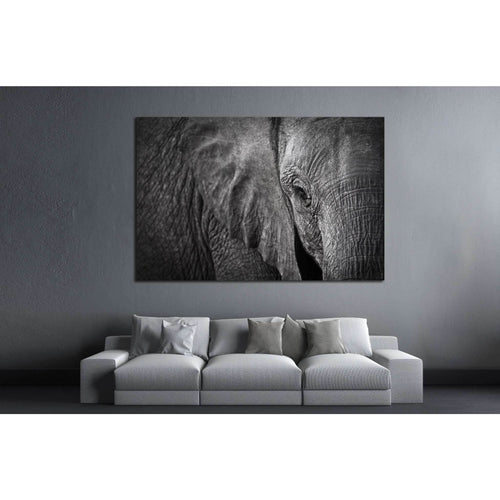 Elephant №192 Ready to Hang Canvas Print