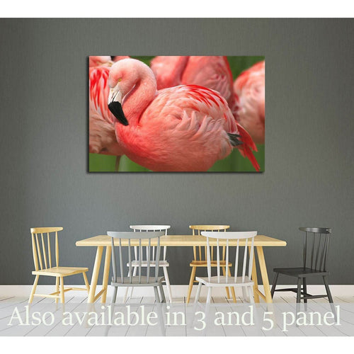 Flamingo Close Up №2799 Ready to Hang Canvas Print