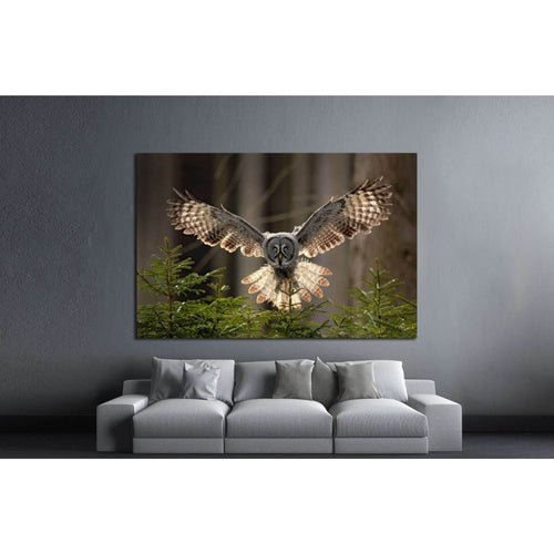 Flying Great Grey Owl, Strix nebulosa №1331 Ready to Hang Canvas Print