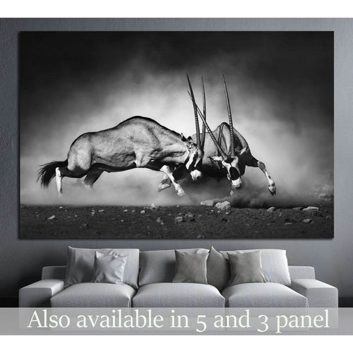 Gemsbok dual №743 Ready to Hang Canvas Print