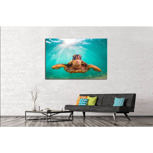 Hawaiian Green Sea Turtle, Pacific Ocean in Hawaii №1859 Ready to Hang Canvas Print