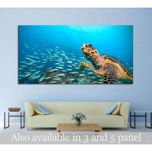Hawksbill Sea Turtle flowing in Indian ocean, flock of fish on background №2366 Ready to Hang Canvas Print