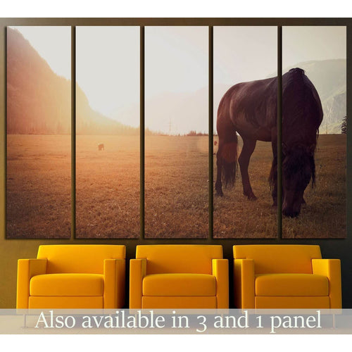 Horse in field №1327 Ready to Hang Canvas Print