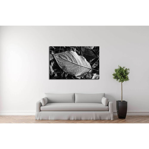 Leaf texture, detail, black and white №2838 Ready to Hang Canvas Print