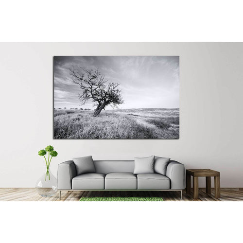 Lonely tree №628 Ready to Hang Canvas Print