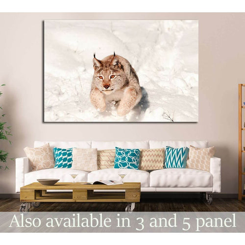 Lynx jumping in fresh snow №1839 Ready to Hang Canvas Print