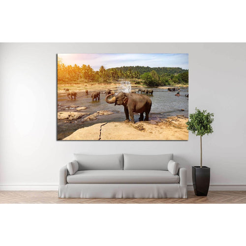 Many Elephants №193 Ready to Hang Canvas Print