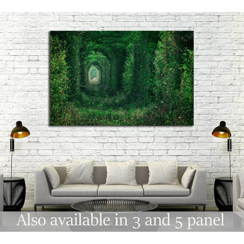 Natural tunnel formed by trees in Romania №2830 Ready to Hang Canvas Print