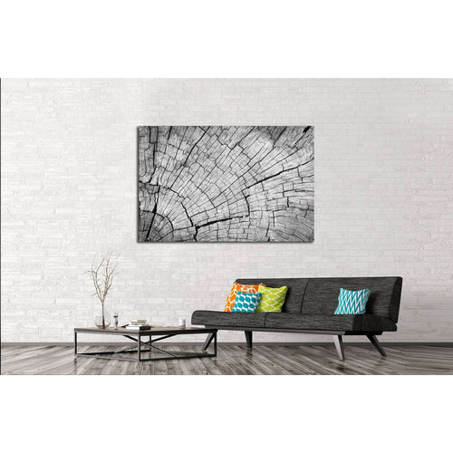 Old Gray cracked wood texture background №2836 Ready to Hang Canvas Print