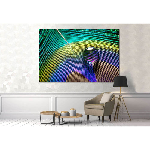 Peacock Feathers №3024 Ready to Hang Canvas Print