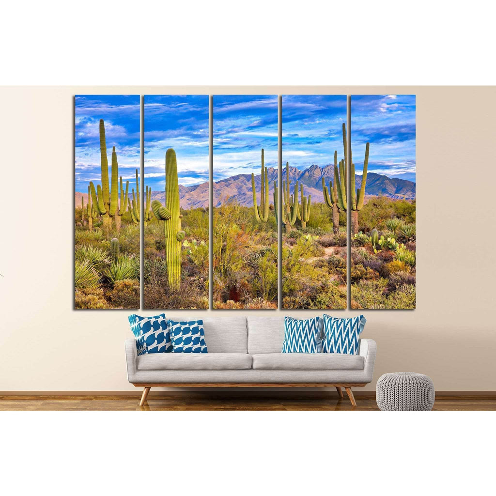 Phoenix, Arizona №1008 Ready to Hang Canvas Print – Zellart Canvas Prints