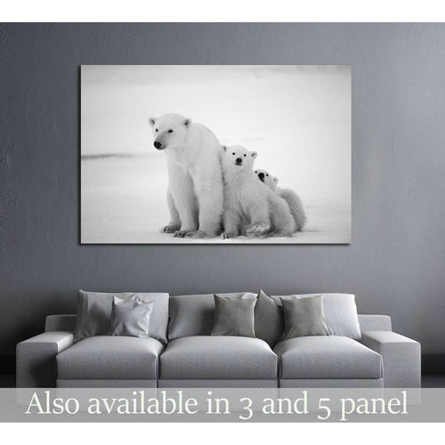 Polar she-bear with cubs. A Polar she-bear with two small bear cubs. Around snow №2338 Ready to Hang Canvas Print