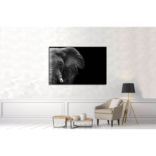 powerful image of an Elephant in black and white №3262 Ready to Hang Canvas Print