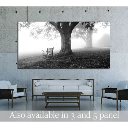 Shenandoah National Park, Virginia №3125 Ready to Hang Canvas Print