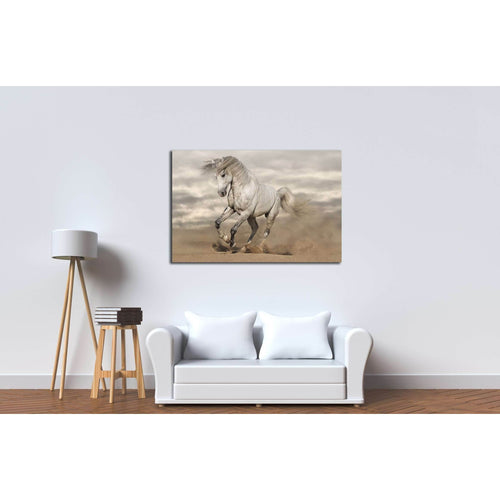 Silver gray Andalusian horse in desert. Toned image №2785 Ready to Hang Canvas Print