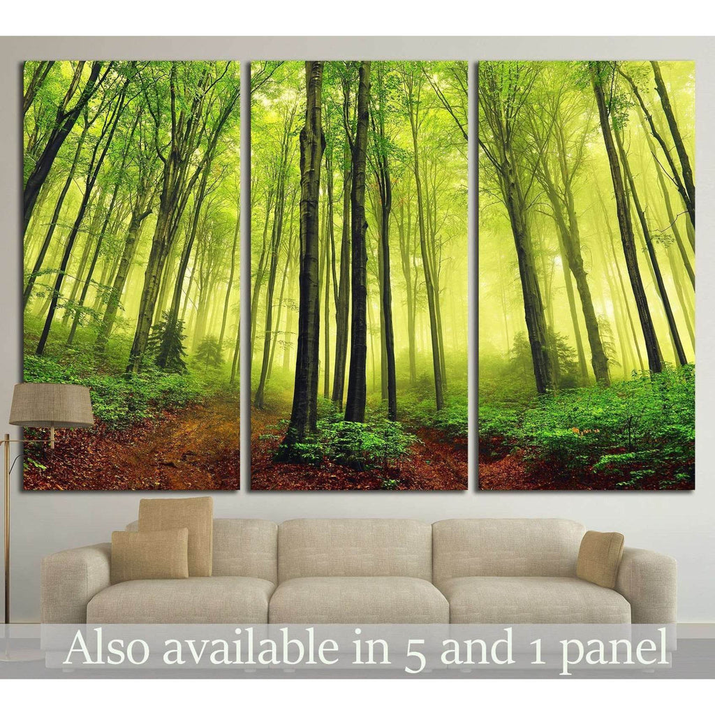 summer fog in the forest №747 Ready to Hang Canvas Print – Zellart ...