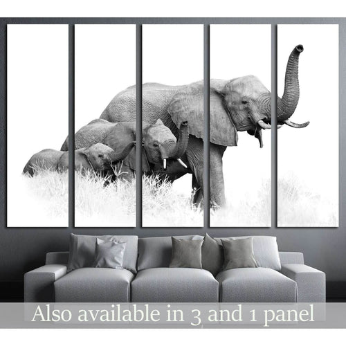 three African Bush Elephants, Loxodonta africana, Kruger, SA №1834 Ready to Hang Canvas Print