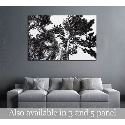 Treetop covered with snow №2837 Ready to Hang Canvas Print