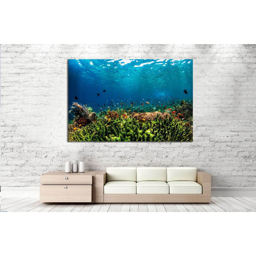 Underwater Fauna №515 Ready to Hang Canvas Print