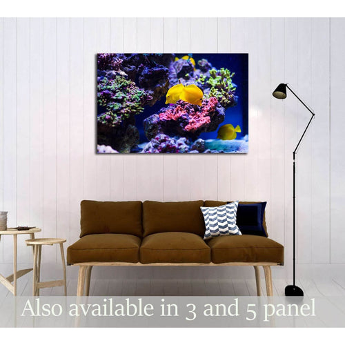 Wonderful and beautiful underwater world with corals №3067 Ready to Hang Canvas Print