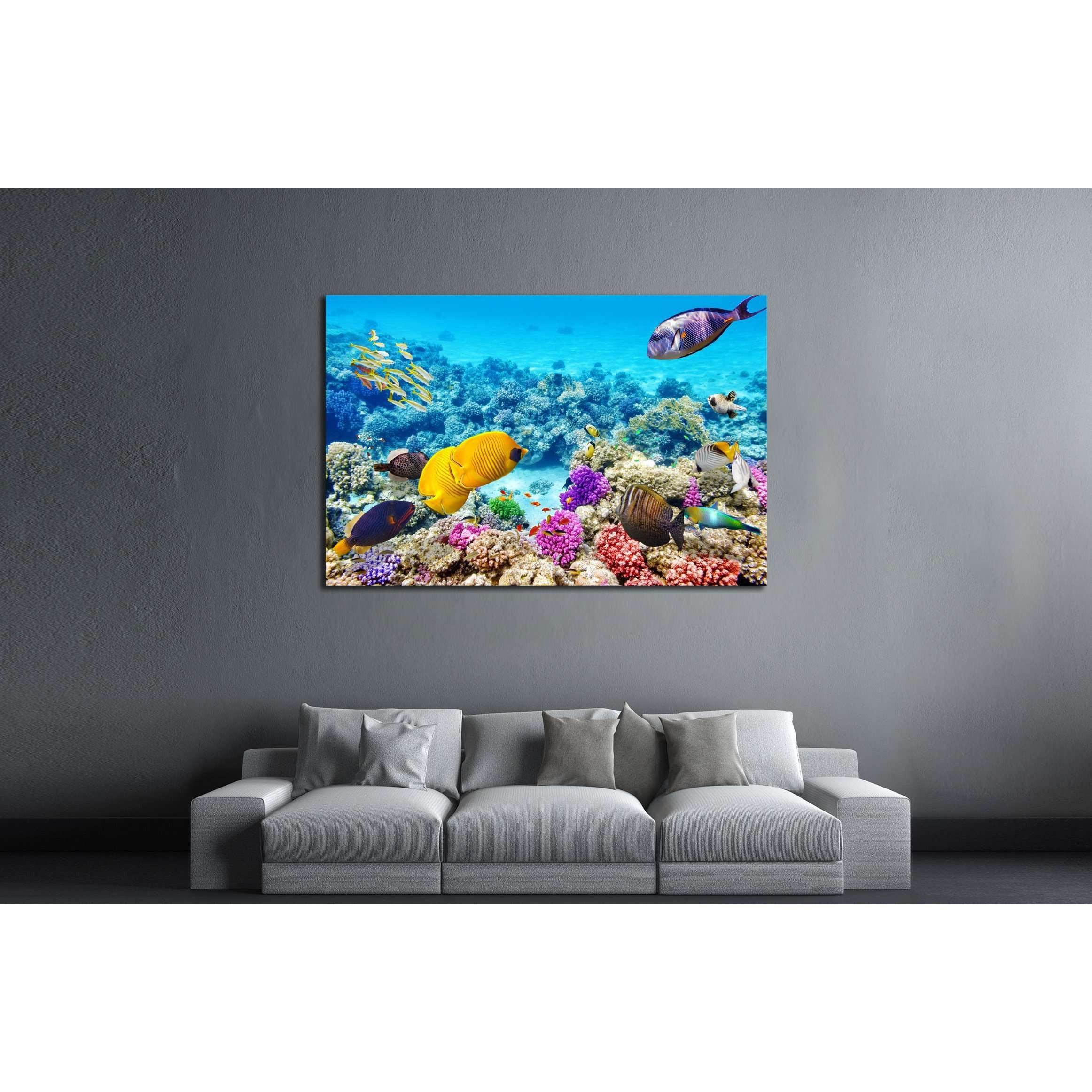 Wonderful and beautiful underwater world with corals and tropical fish ...