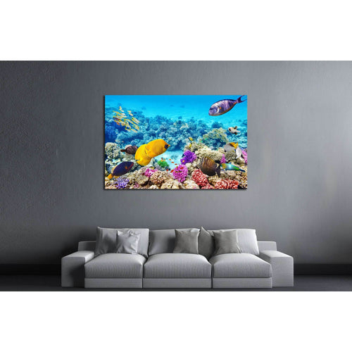 Wonderful and beautiful underwater world with corals and tropical fish №3066 Ready to Hang Canvas Print