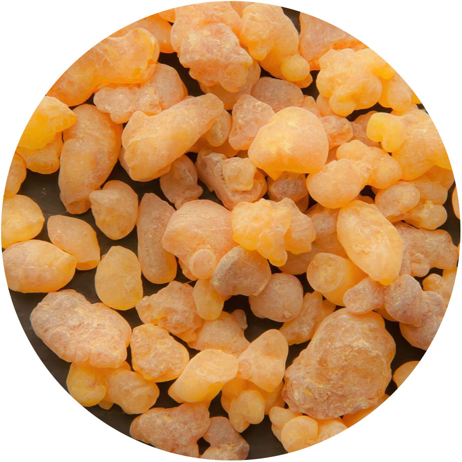Frankincense Frankincense
