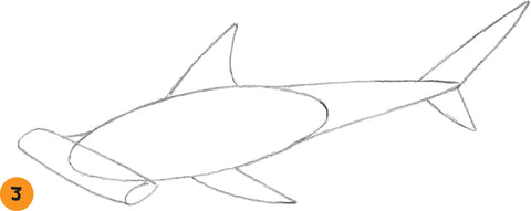 How to draw a hammerhead shark