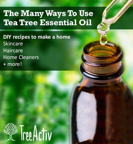 Tea Tree Essential Oil Uses Skincare Haircare Home Cleaning