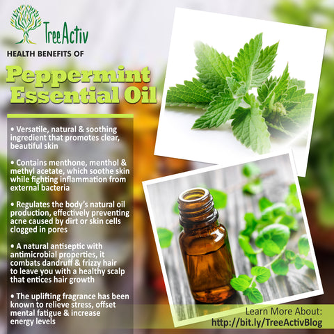 TreeActiv Peppermint Essential Oil Health Benefits