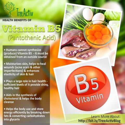 TreeActiv Vitamin B5 Health Benefits