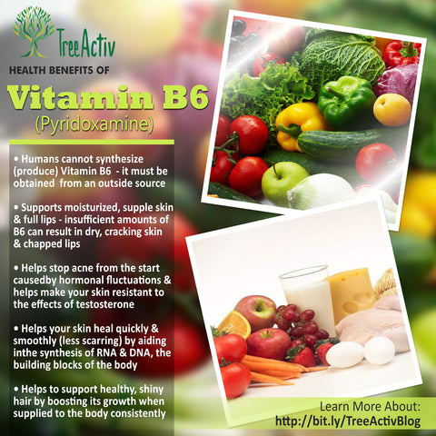 TreeActiv Vitamin B6 Health Benefits