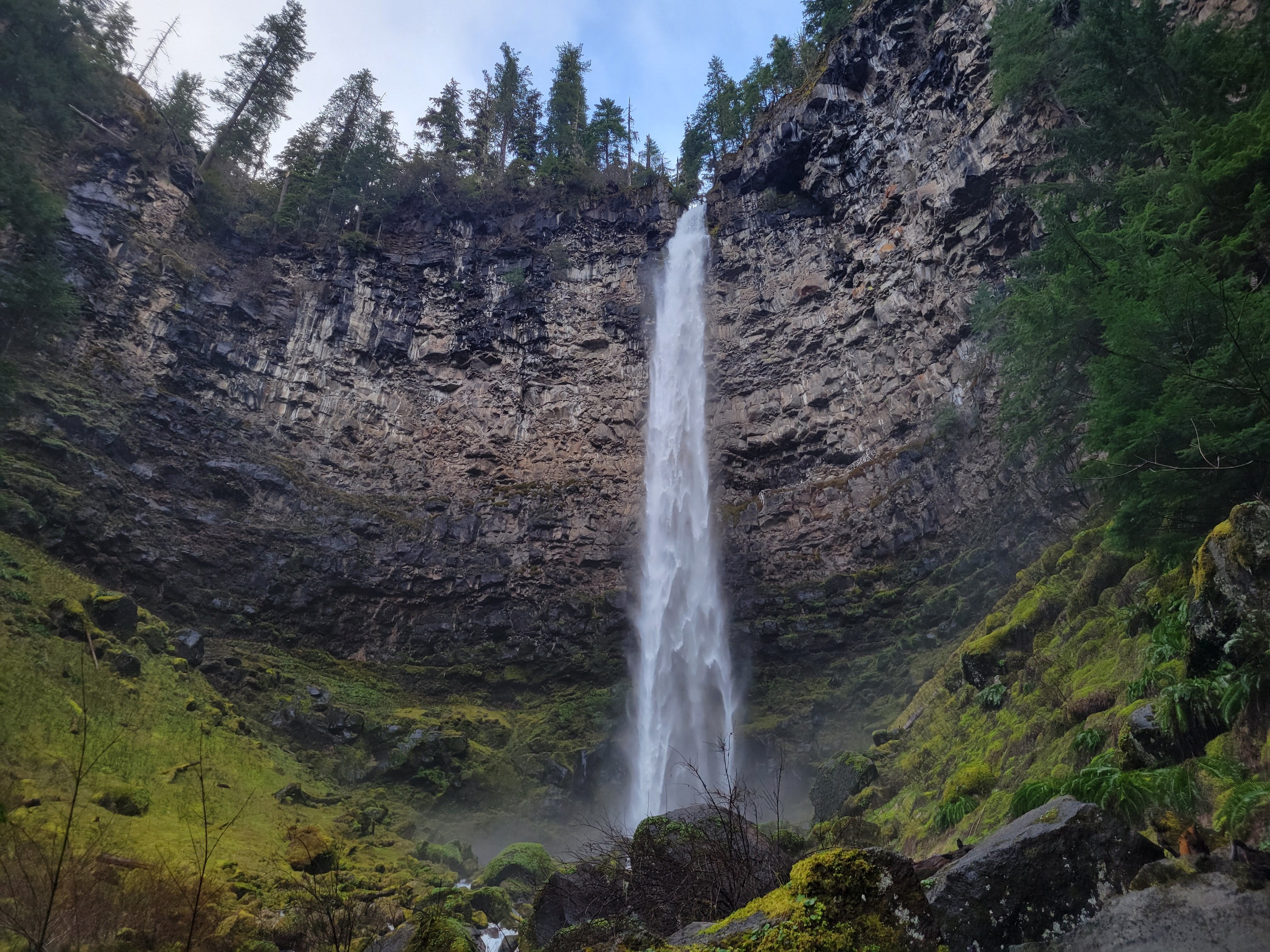 Umpqua National Forest