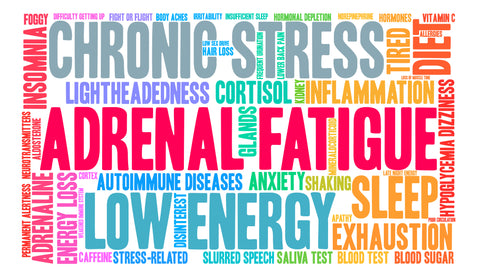 Adrenal fatigue and its symptoms