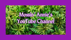 Mossin' Annie's YouTube Channel
