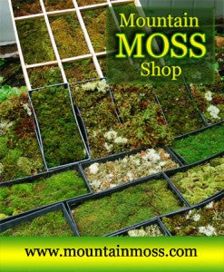 Mountain Moss Shop - Green Roof - Moss Trays for Sale