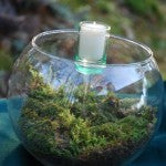 Terrarium Big Bowl Tall Candle-6