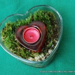 Terrarium-Heart Dish Candle-1