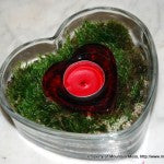 Terrarium-Heart Dish Candle-2