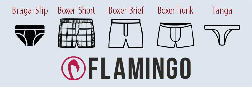 interior para Hombre vs Tipo de Cuerpo – Boxer para Hombre #LosDeLaBolsita | Flamingo Boxers