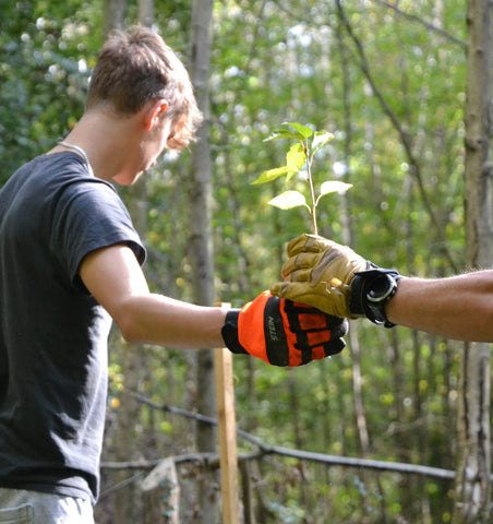 Planting Trees